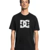 Remera DC Shoes Star Skully Lhss